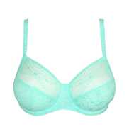 No body pictures | Primadonna