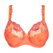 No body pictures | Primadonna