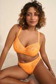 Catalog | Primadonna