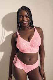 Catalog | Primadonna