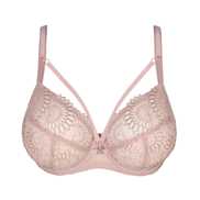 No body pictures | Primadonna