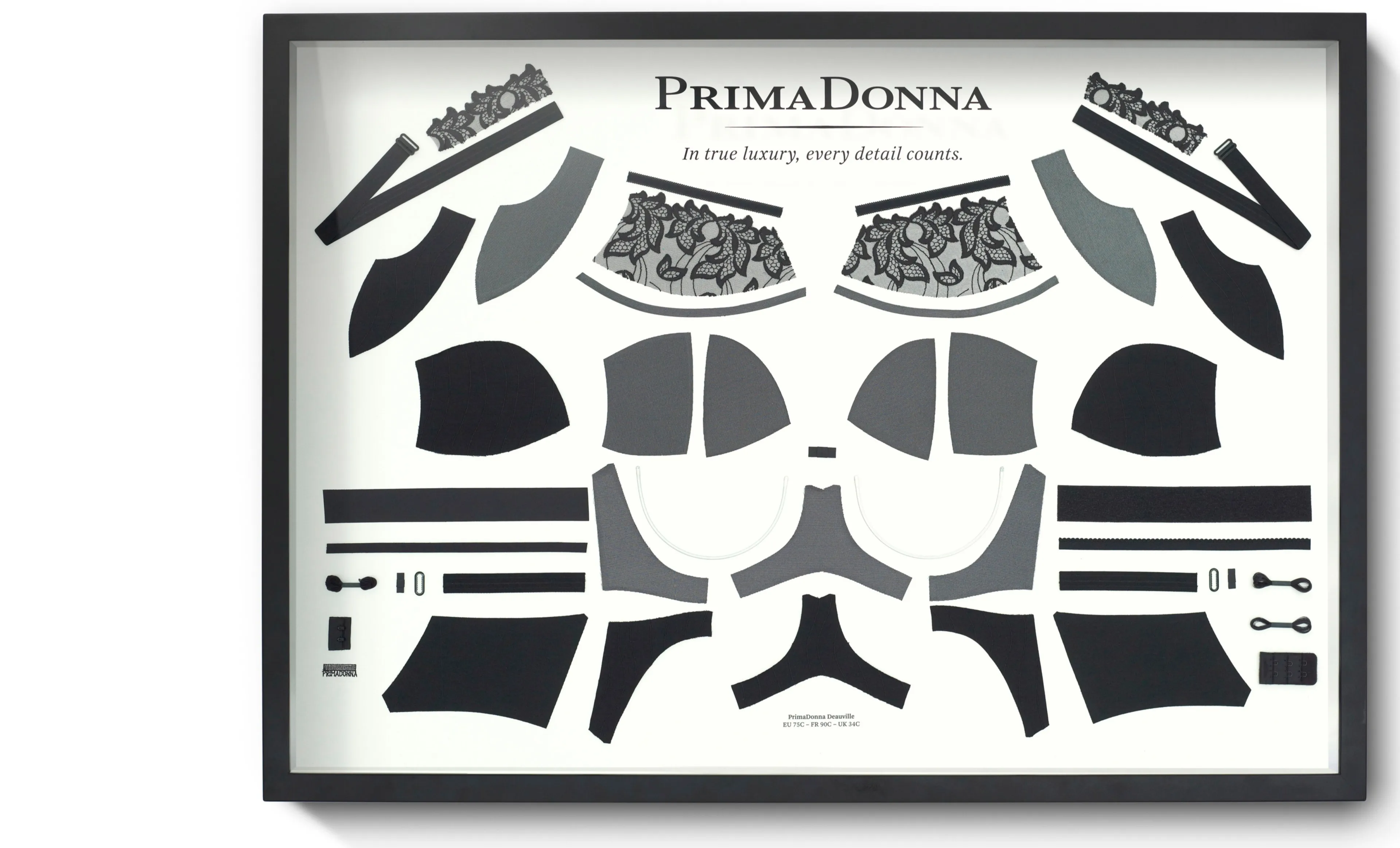 PD placeholder | PrimaDonna