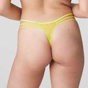 Packshot | Primadonna