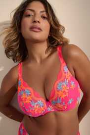 Catalog | Primadonna