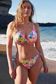 Catalog | Primadonna