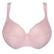 No body pictures | Primadonna