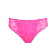 No body pictures | Primadonna