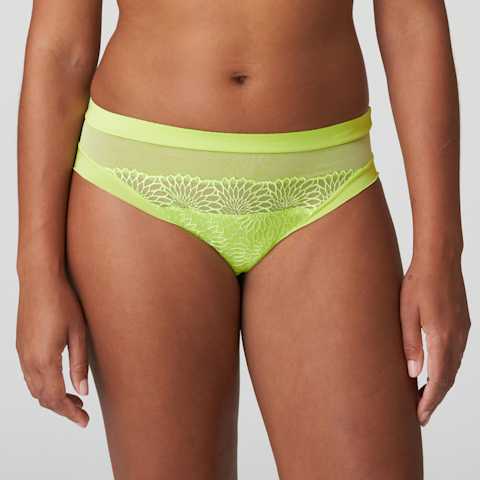 Packshot | Primadonna