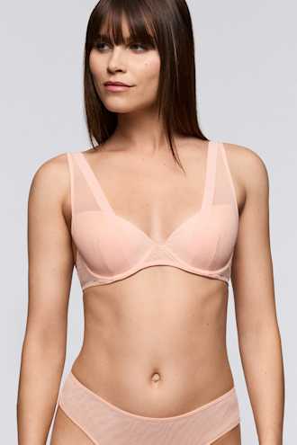 Catalog