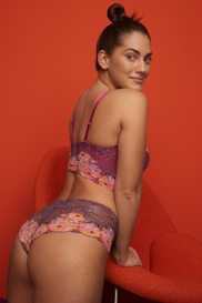 Catalog | Primadonna