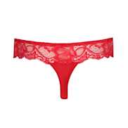 No body pictures | Primadonna