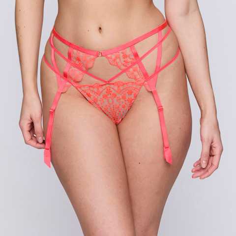 Packshot | Primadonna