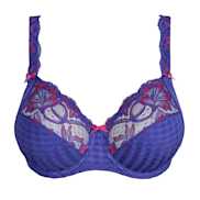 No body pictures | Primadonna