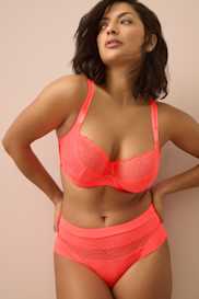 Catalog | Primadonna