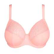 No body pictures | Primadonna