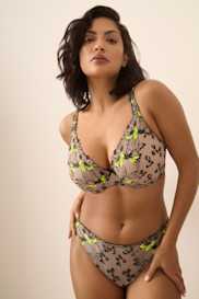 Catalog | Primadonna