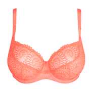 No body pictures | Primadonna