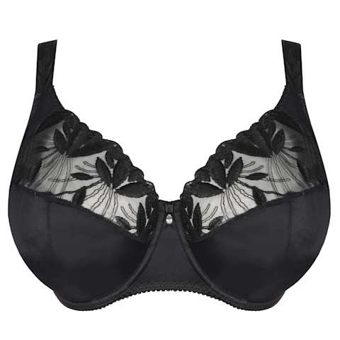 No body pictures | Primadonna