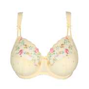 No body pictures | Primadonna