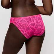 Packshot | Primadonna