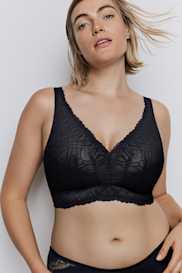 Catalog | Primadonna