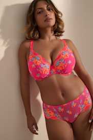 Catalog | Primadonna