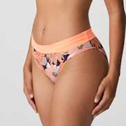 Packshot | Primadonna