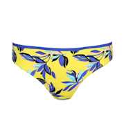 No body pictures | Primadonna