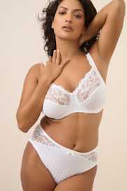 Catalog | Primadonna