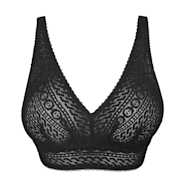 No body pictures | Primadonna