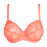 No body pictures | Primadonna