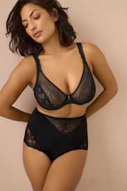 Catalog | Primadonna