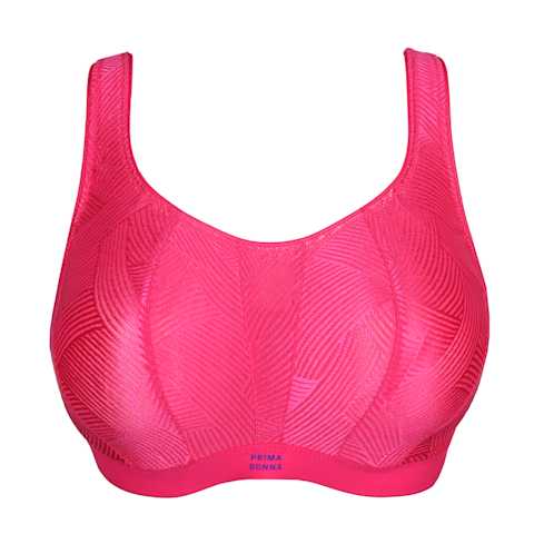 No body pictures | Primadonna