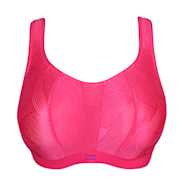 No body pictures | Primadonna