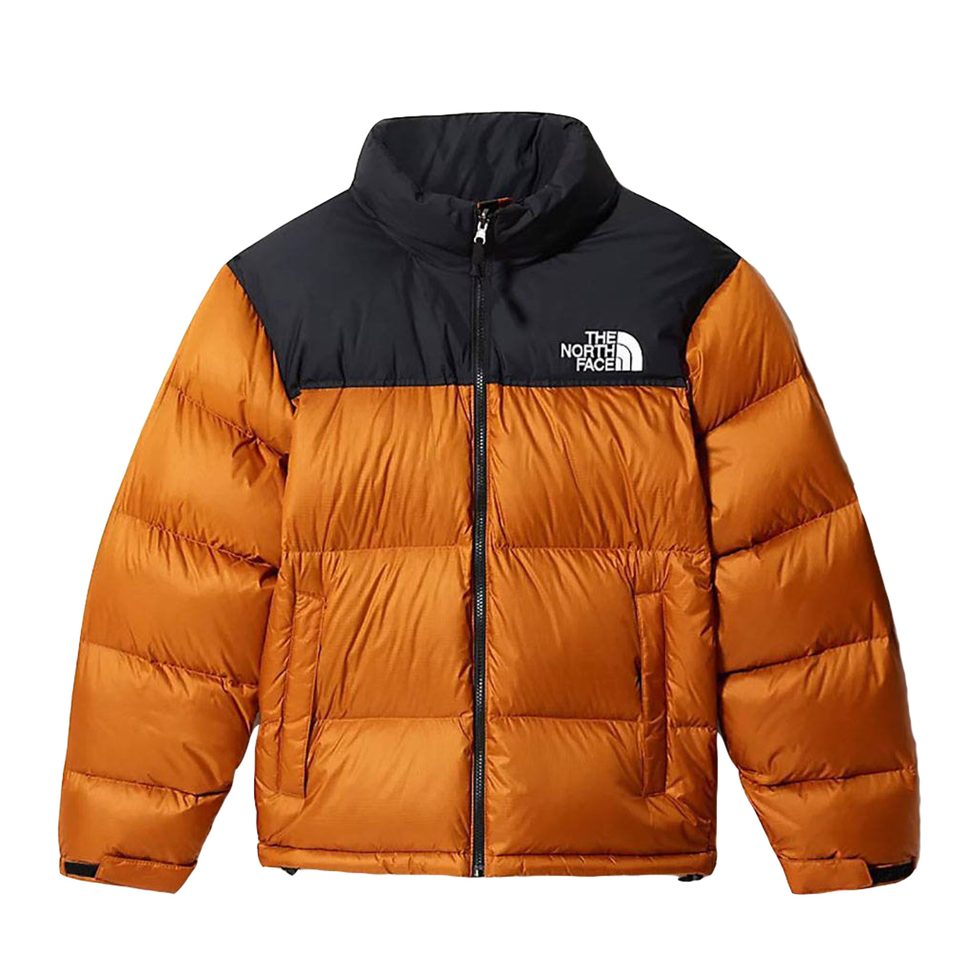 north face multicolor coat