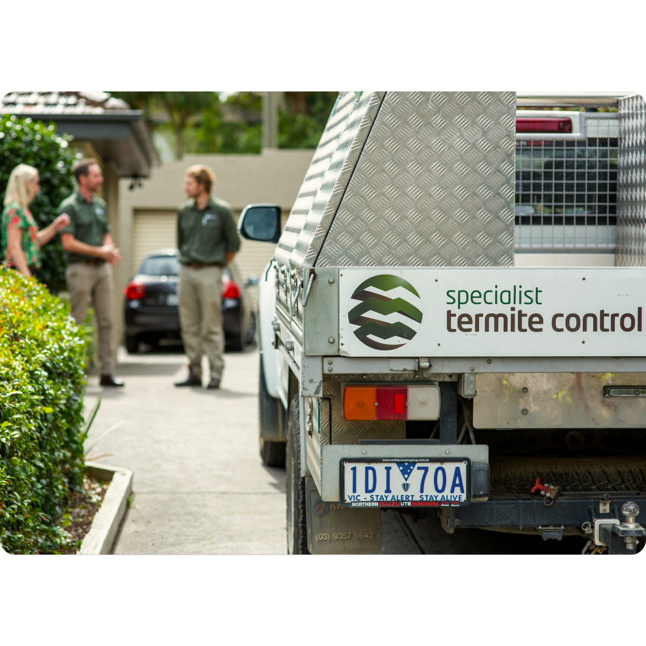 Specialist Termite Control