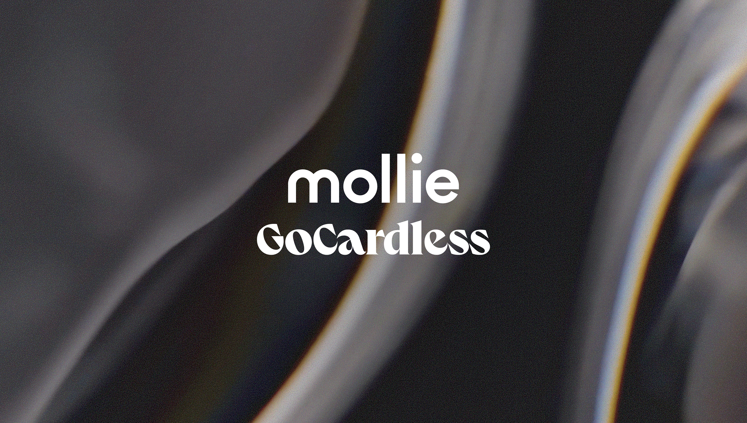 Mollie and GoCardless combine to create Europe's leading payments and financial services partner