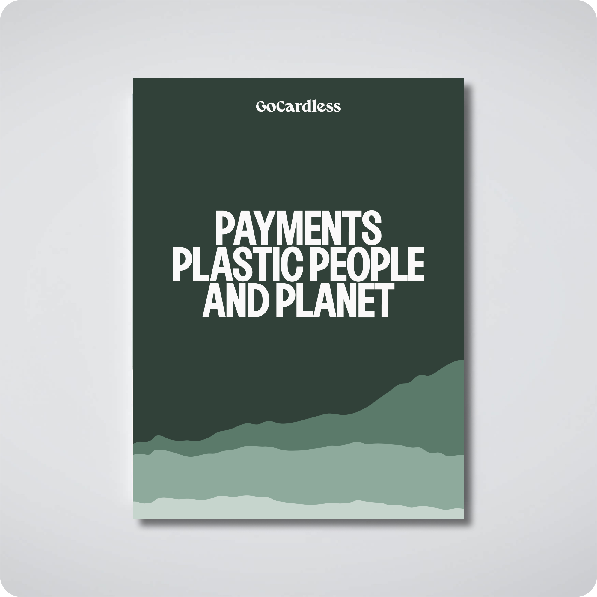Payments, Plastics, People and Planet