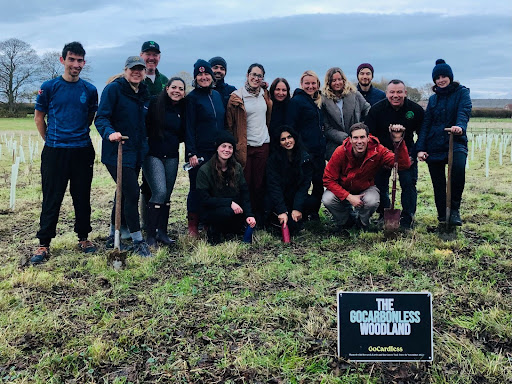 [en-en]  GoCarbonless woodland