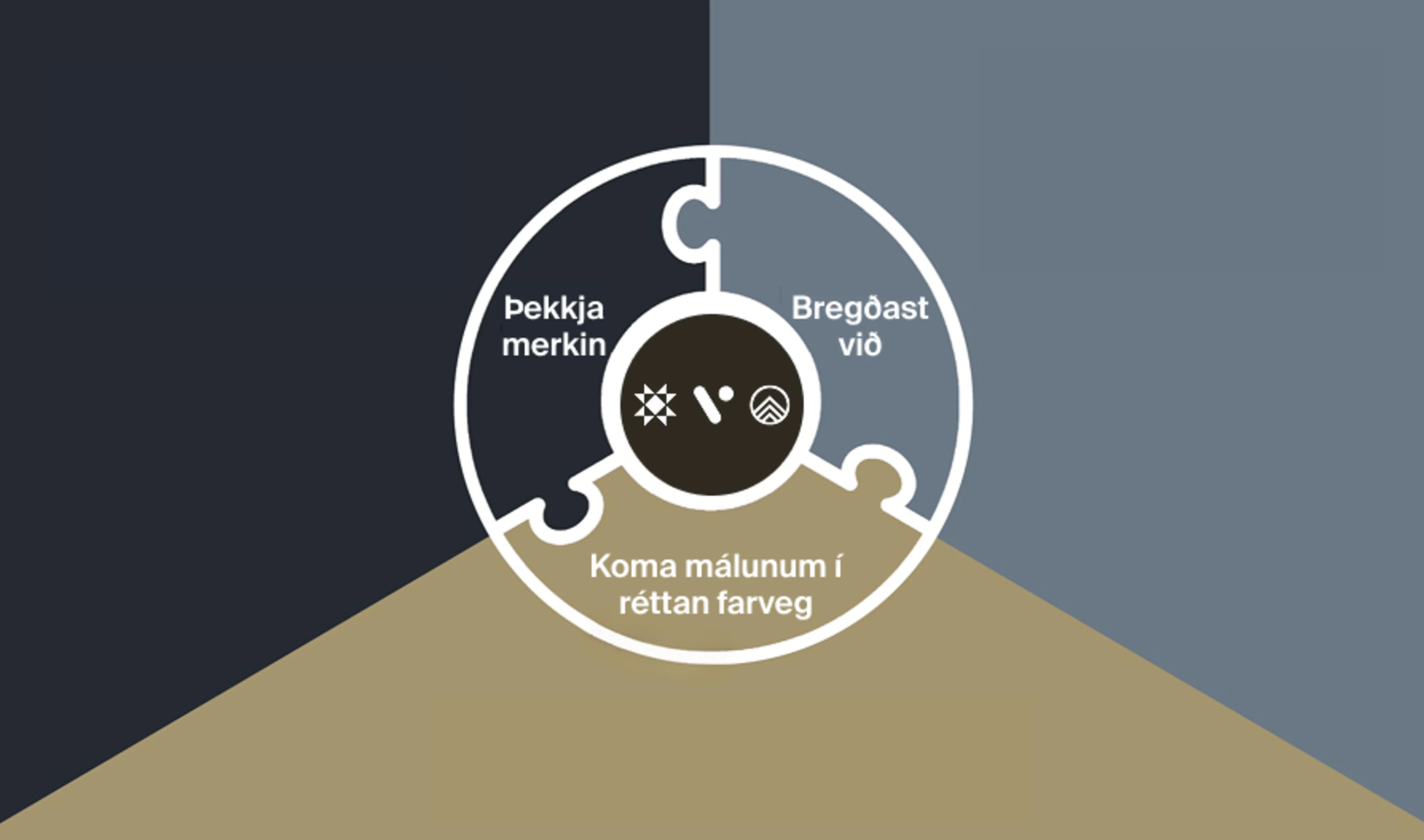 Aðgerðarátætlun