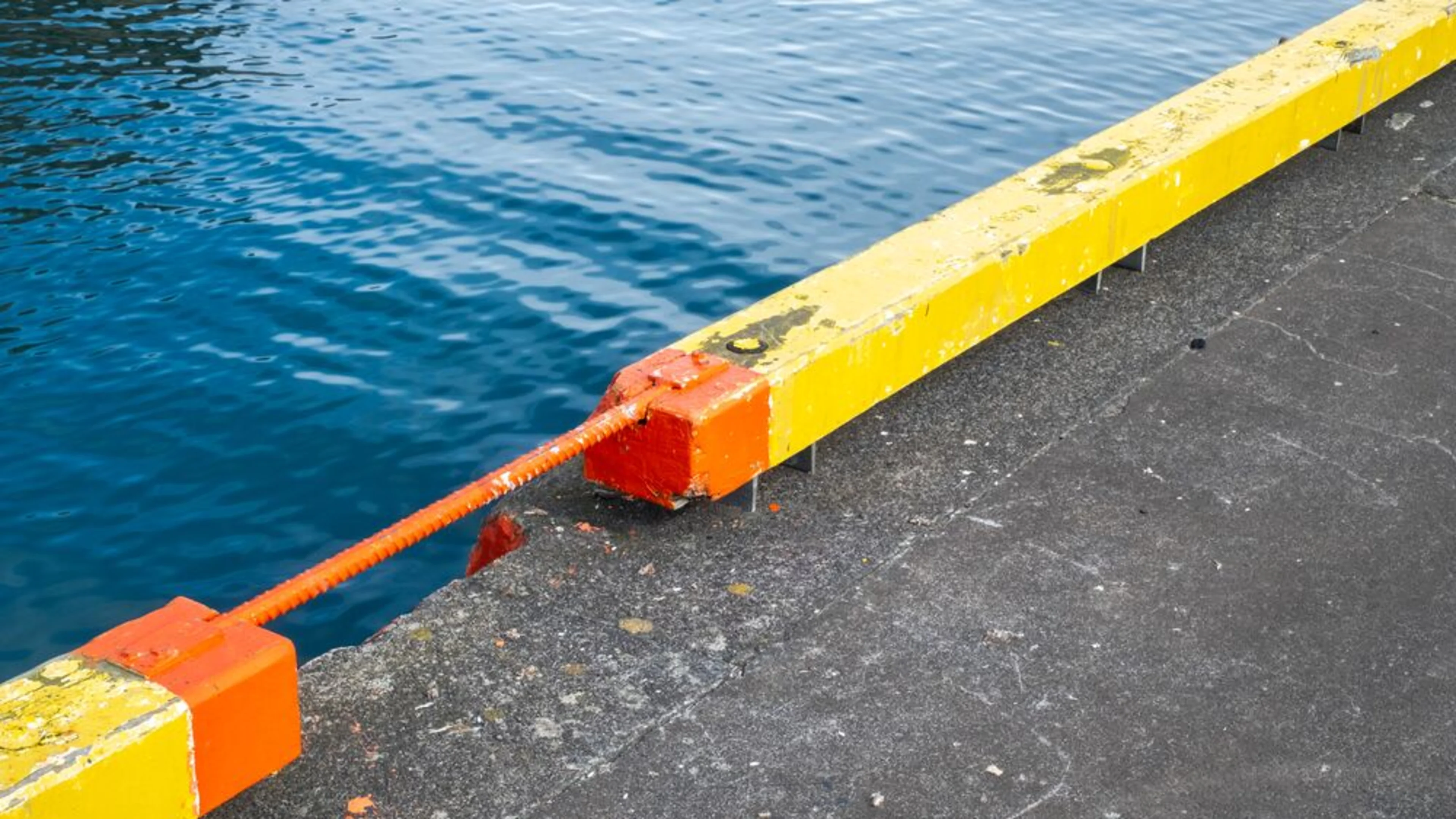 Medium-Arion - Hlutamyndir DSF3128