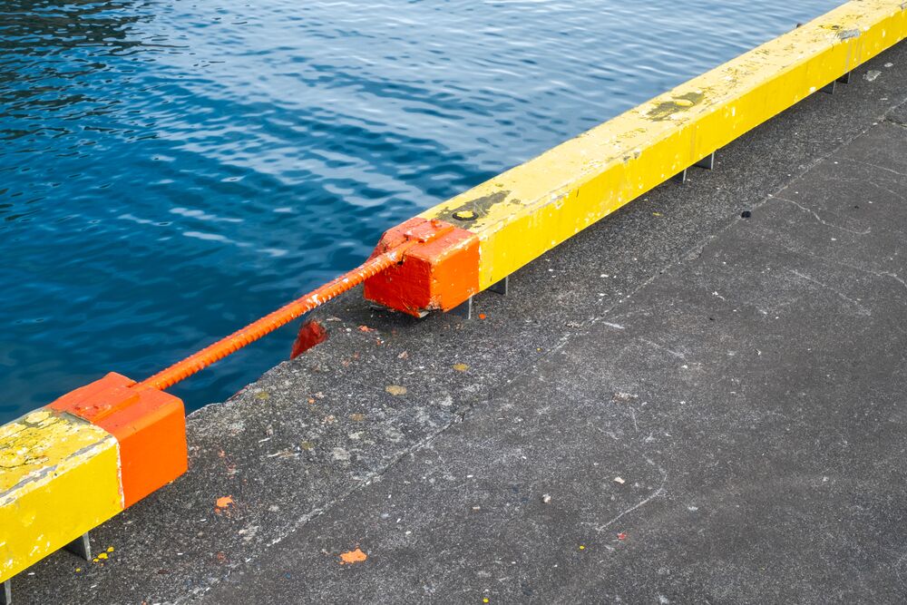 Medium-Arion - Hlutamyndir DSF3128