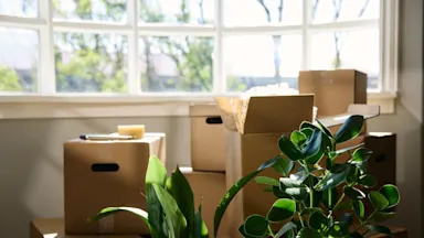 Hlutamynd - flutningar