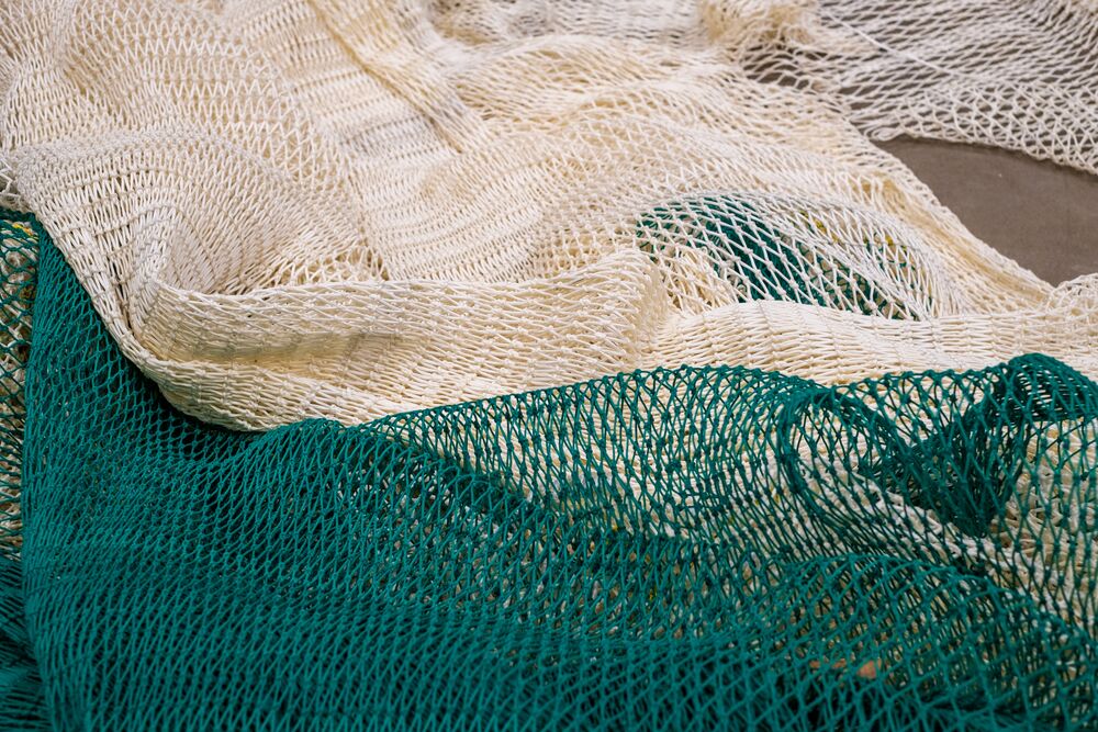 Arion - Hlutamyndir DSF3119