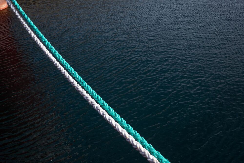 Medium-Arion - Hlutamyndir DSF3076