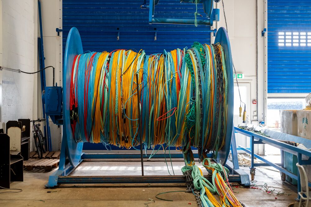 Medium-Arion - Hlutamyndir DSF3096