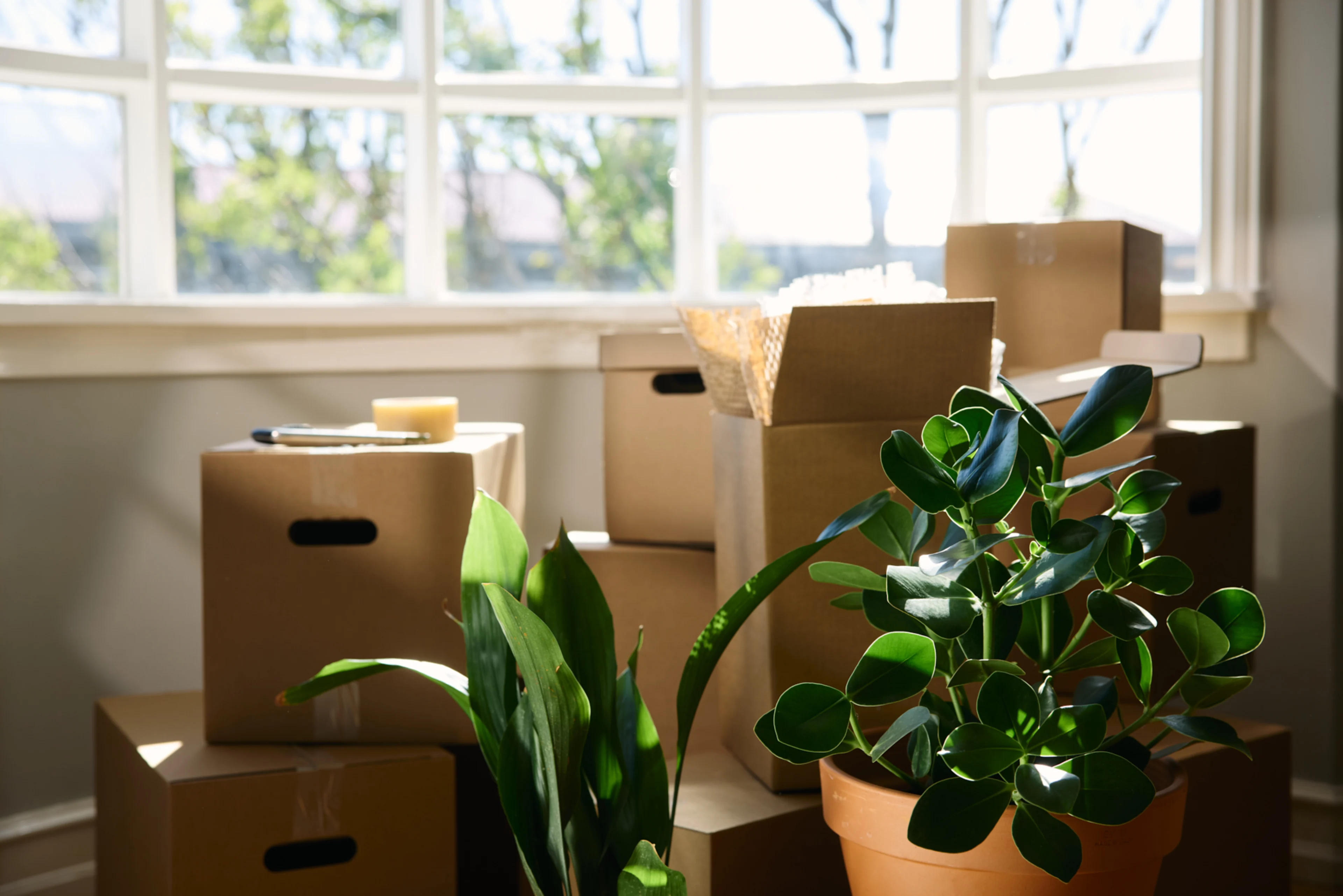 Kassar á gólfi í nýrri íbúð