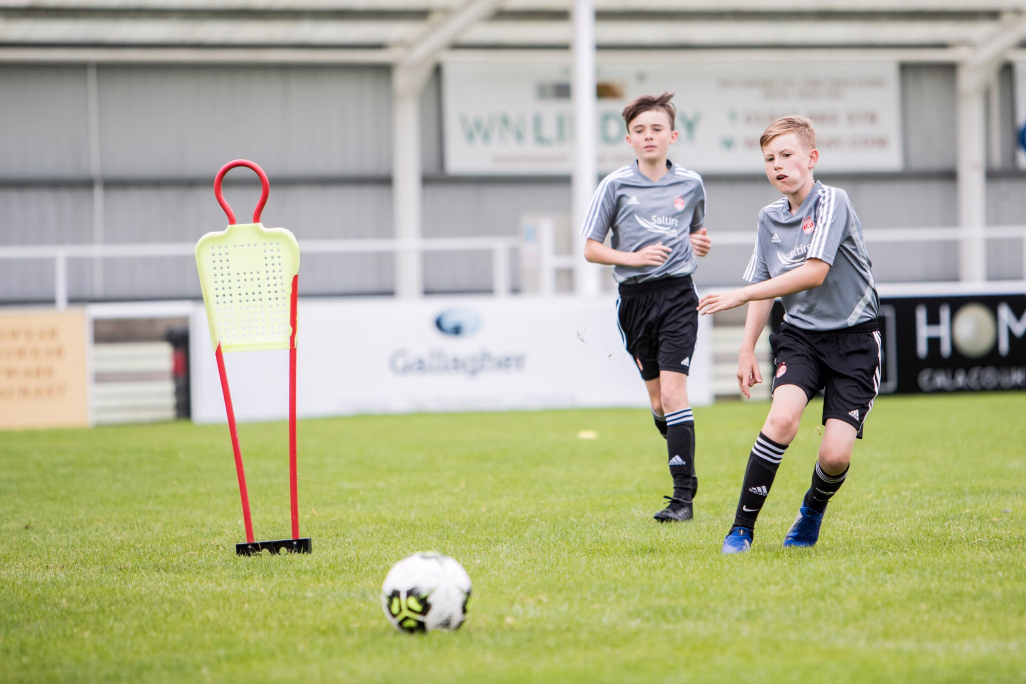 Train Like a Pro | Moray image