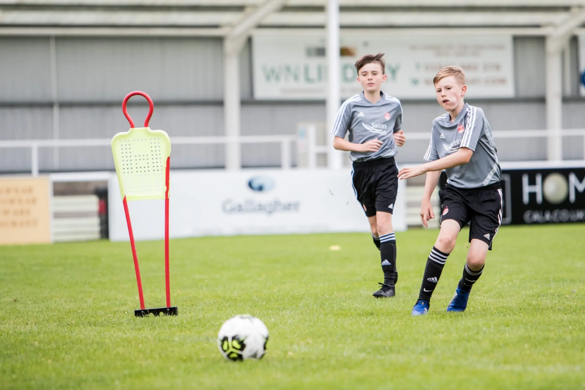 Train Like a Pro | Moray image
