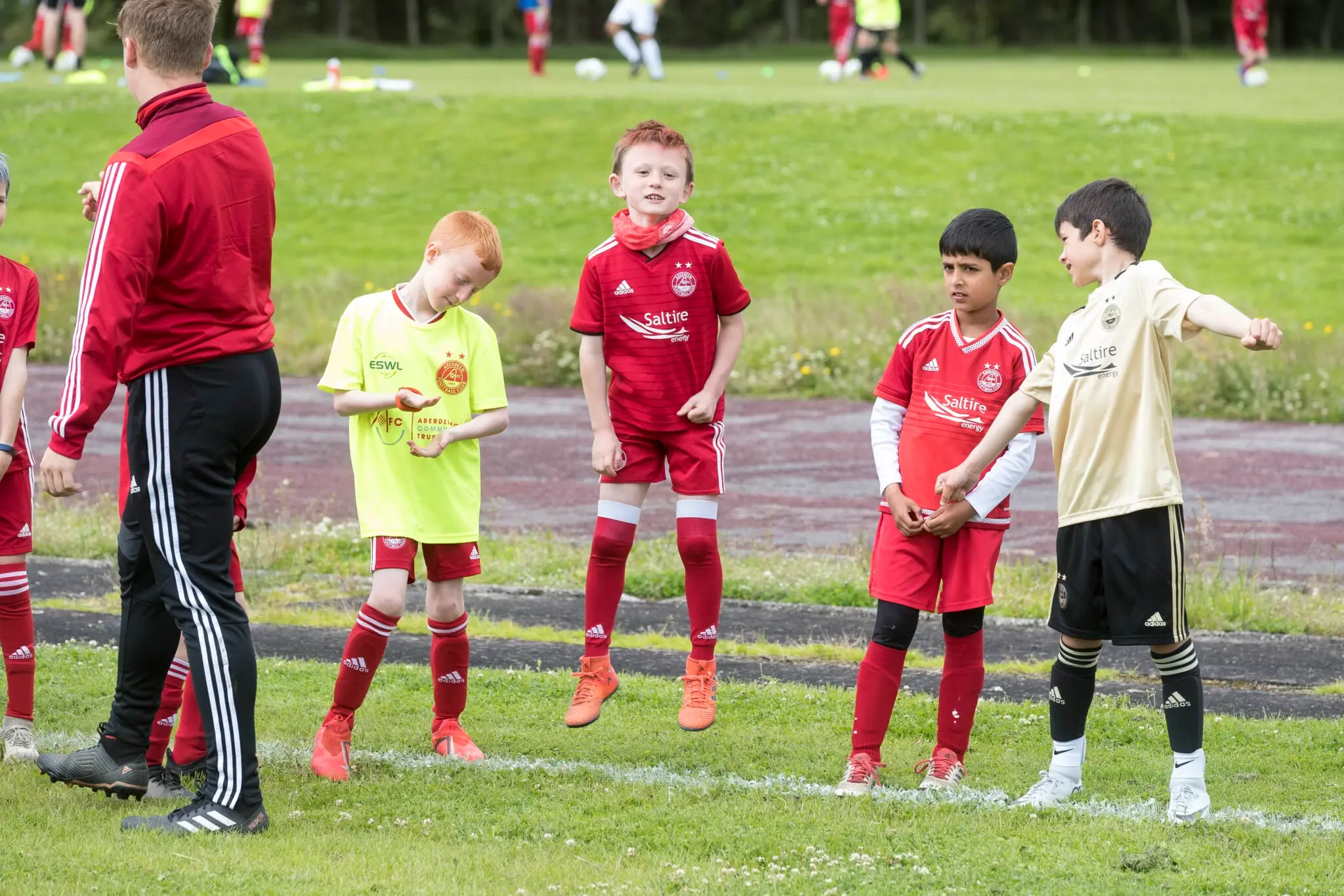 November Mid-Term Coaching | On Sale Now image